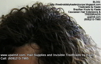 Tree Braids- Cornrows with wavy human hair, Top2358.