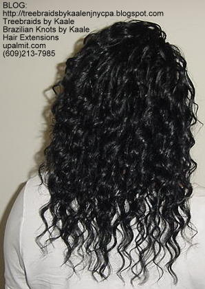 Tree Braids- Bk15.