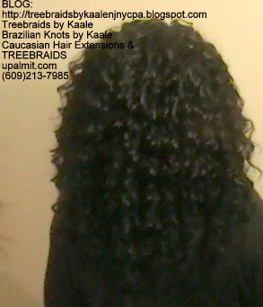 Tree Braids- with wavy human hair Back2248.