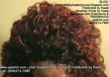 Tree Braids- Cornrows with Wet n Wavy human hair, Top2331.