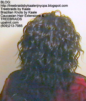 Tree Braids Body Wave Back2266.