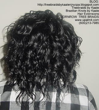 Wavy cornrow Treebraids, Back266.