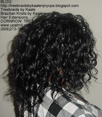 Wavy cornrow Treebraids, Right268.