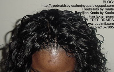 Wavy cornrow Treebraids, Top269.