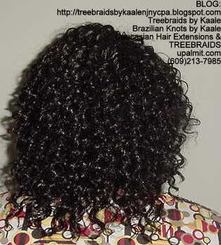 Tree Braids using Wavy human hair Back314.