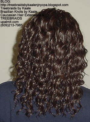 Tree Braids with wavy human hair Back302.