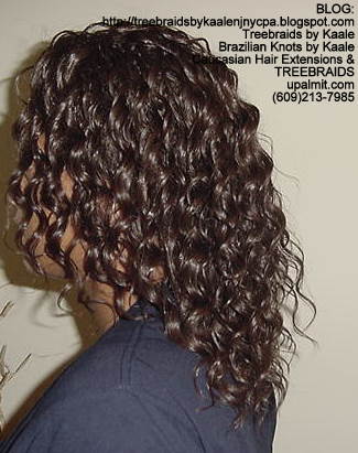 Tree Braids with wavy human hair Left304.