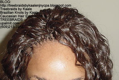 Tree Braids with wavy human hair Top305.