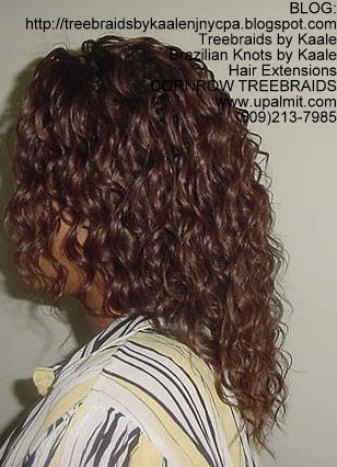 Tree Braids- Tree Braids- wavy human hair Left207.