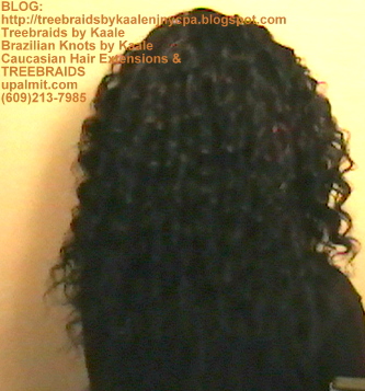 Treebraids Wavy Human Hair Back2213.