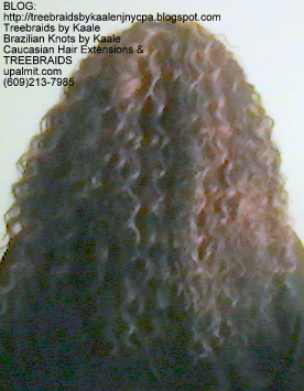 Tree Braids with KAALE Brand Deep Bulk human hair Back346.