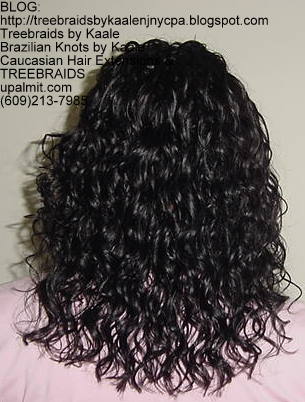 Treebraids with Wavy human hair Back2176.