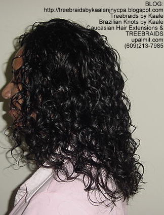 Treebraids with Wavy human hair Left2178.