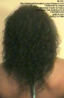 Tree Braids- Cornrows- Cornrows wet n wavy hair, Back2432.