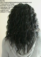 Tree Braids- Cornrows and wavy hair, Back2428.