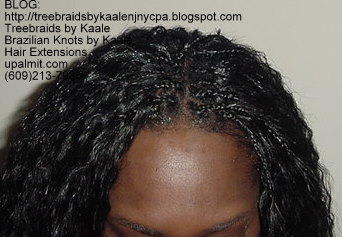 Wavy Tree Braids- Mediumsmall.