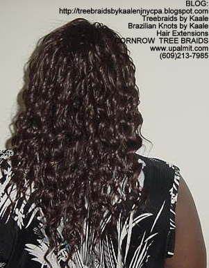 Wavy cornrow Treebraids, Back244.