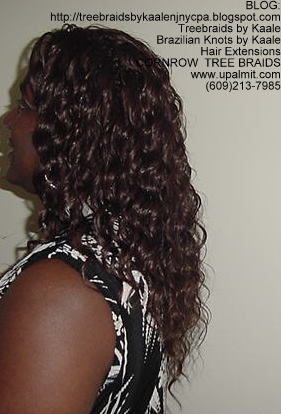 Wavy cornrow Treebraids, Left245.