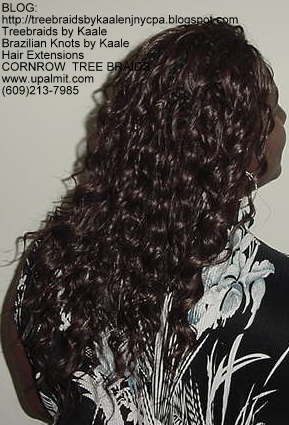 Wavy cornrow Treebraids, Right246.