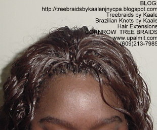 Wavy cornrow Treebraids, Top247.