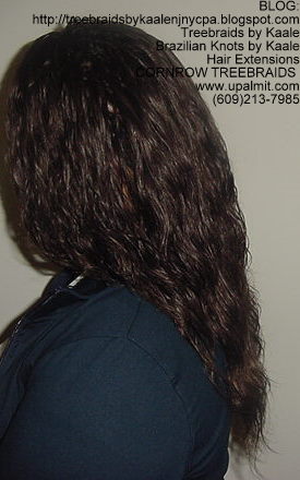 Cornrow Tree Braids Loose Wavy hair Left191.