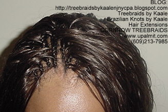 Cornrow Tree Braids Loose Wavy hair Top192.