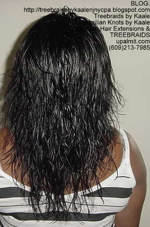 Treebraids with Wavy human hair Back2181.