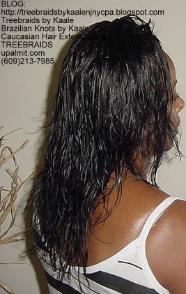 Treebraids with Wavy human hair Right2182.
