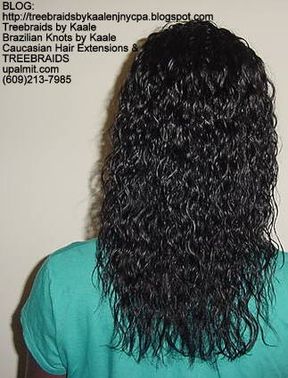 Treebraids Wet n Wavy Human Hair Back2209.
