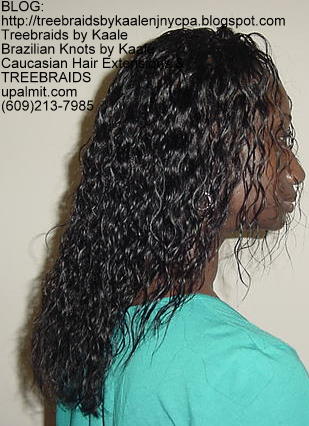 Treebraids Wet n Wavy Human Hair Right2211.