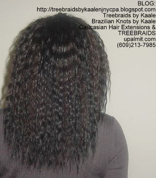 Tree Braids using KAALE Brand Wet n Wavy Tangle Free hair Back290.