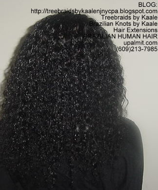 Cornrow Tree Braids with Virgin Brazilian human hair Back153.