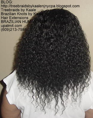 Virgin Brazilian curly human hair Treebraids Back2152.