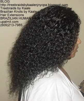 Virgin Brazilian curly human hair Treebraids Right2153.