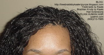 Virgin Brazilian curly human hair Treebraids Top2155.
