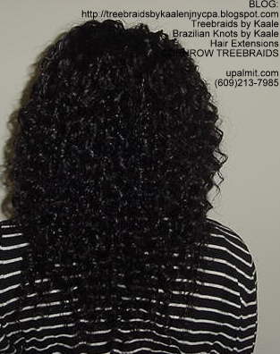 Cornrow Tree Braids Loose Wavy hair Back193.