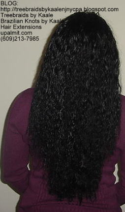 Wet and Wavy Tree Braids, Back126.