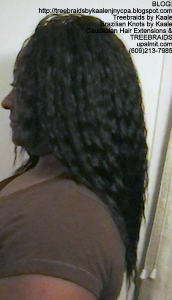 Tree Braids- Cornrows with Kaale brand loose Wet n Wavy human hair, Long Left2388.