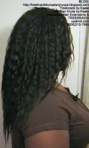 Tree Braids- Cornrows with Kaale brand loose Wet n Wavy human hair, Long Right2389.