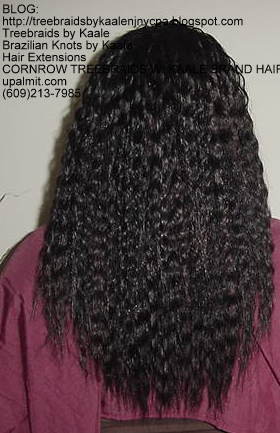 Cornrow Tree Braids KAALE Brand Back161.