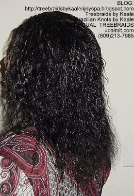 Wavy cornrow Treebraids, Left147.