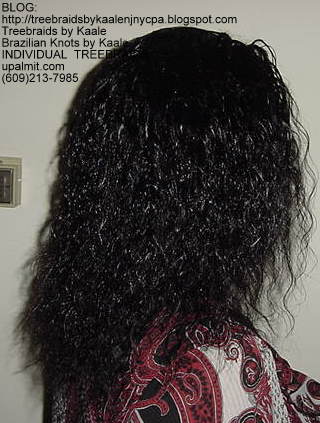 Wavy cornrow Treebraids, Right148.