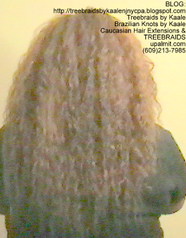 Tree Braids- Individuals with Wet and Wavy human hair Back2256.
