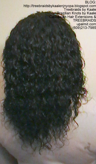 Tree Braids- Cornrows and Individuals in Wet n Wavy Back2280.