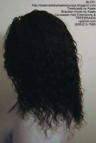 Tree Braids- Cornrows and Individuals in Wet n Wavy Left2281.