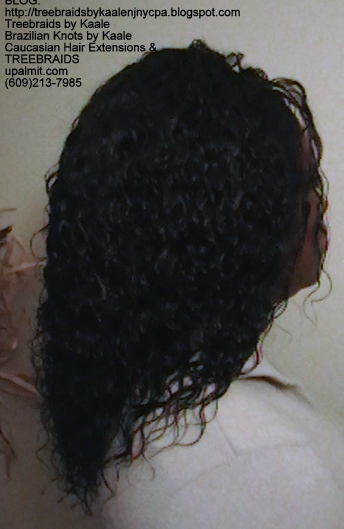Tree Braids- Cornrows and Individuals in Wet n Wavy Right2282.