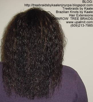 Wet and wavy Treebraids, Back236.
