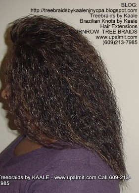 Wet and wavy Treebraids, Left238.