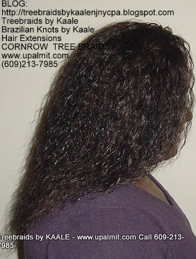 Wet and wavy Treebraids, Right237.