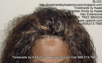 Wet and wavy Treebraids, Top239.